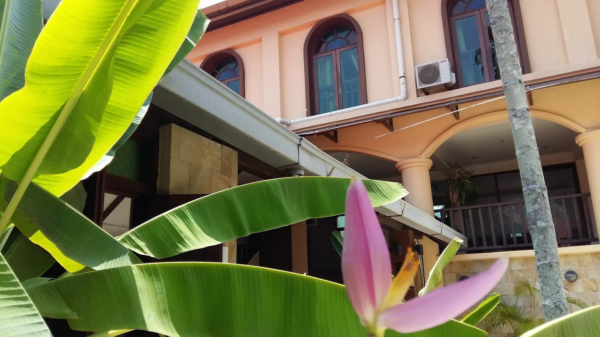 Oyo 1149 Feringghi Hotel Batu Ferringhi 2*,  Malaysia